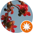 Rumjana Stefanova profile picture