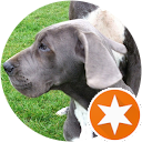 David Delescluse profile picture